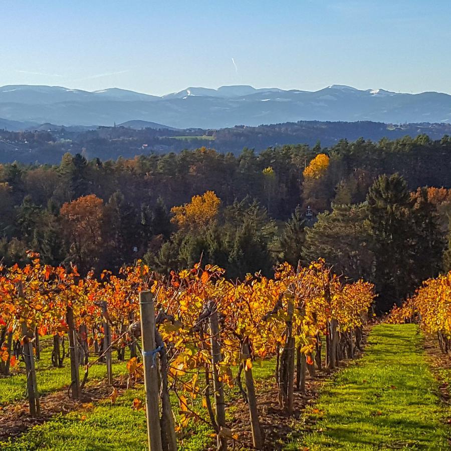 Hitzendorf Simandlhof B&B 외부 사진